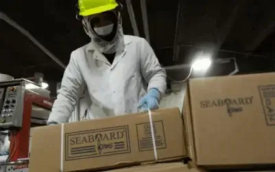 Worker in protective gear handling Seaboard Foods boxes in a processing facility