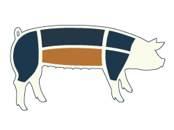 Pig-Primals-Belly-Highlight-Web-BBQ-250