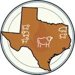 TX_Regional-Styles-of-BBQ-1 Texas map illustration